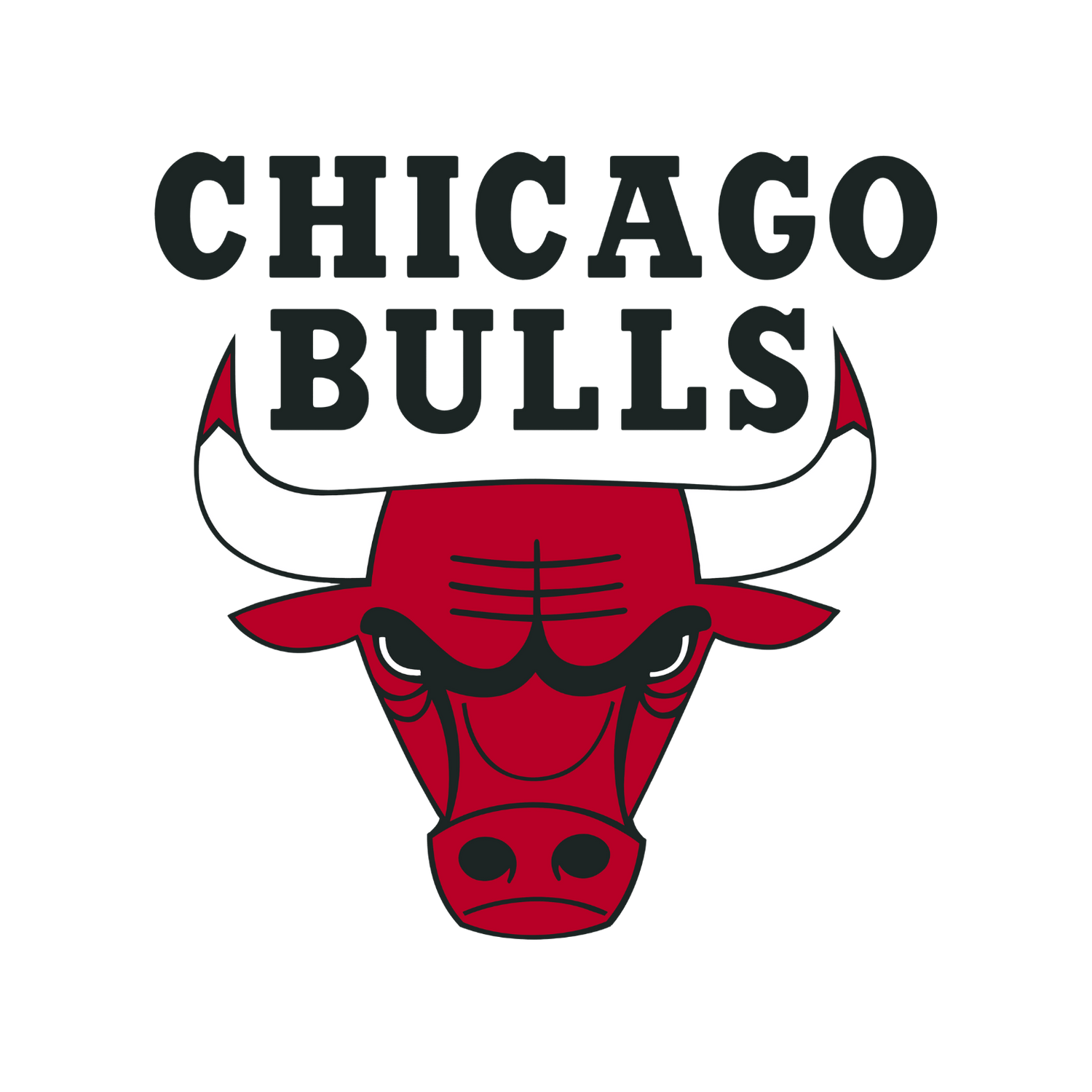 Chicago Bulls